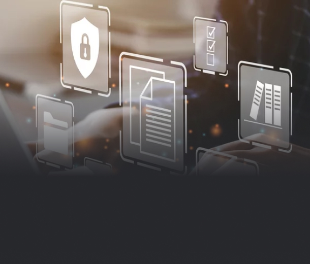 Database Administrator