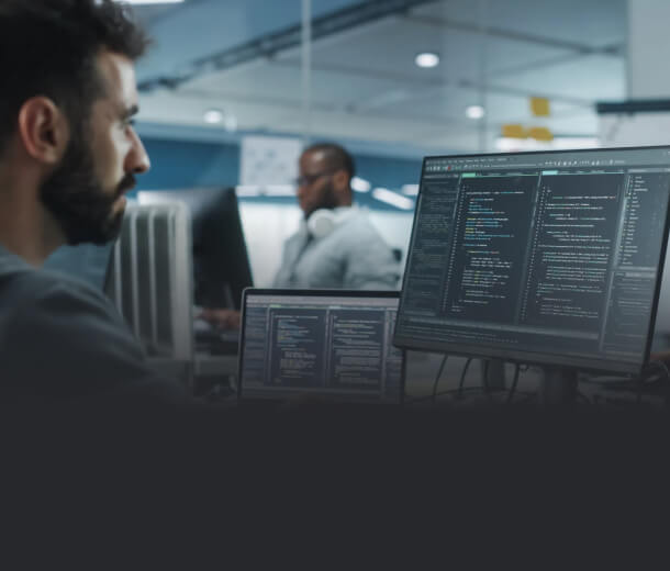 Software Developer